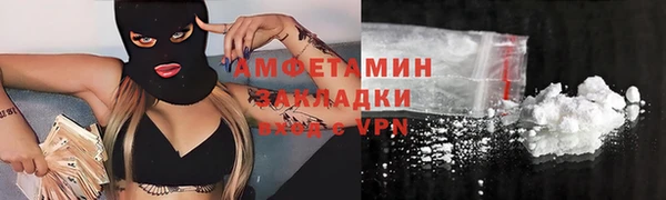 прущие грибы Кинешма