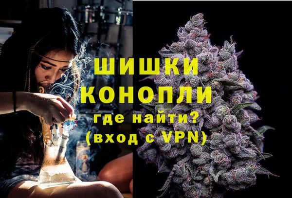прущие грибы Кинешма