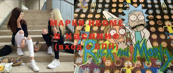 прущие грибы Кинешма