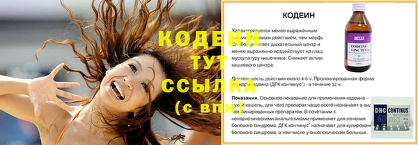 прущие грибы Кинешма