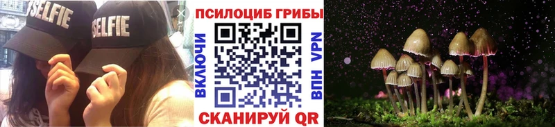 Купить  Почеп  Галлюциногенные грибы GOLDEN TEACHER 