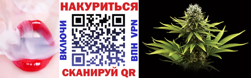 Купить где  Почеп  Марихуана конопля 